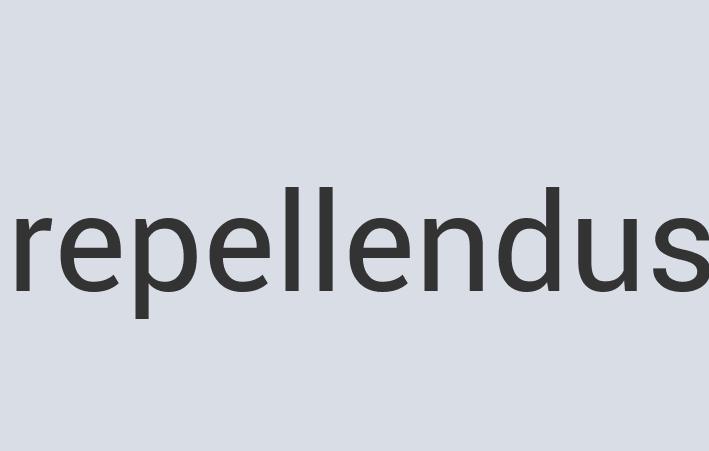 Gorgeous Cotton Xorette