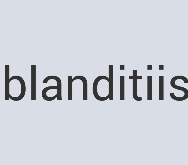 Intelligent Leather Monque